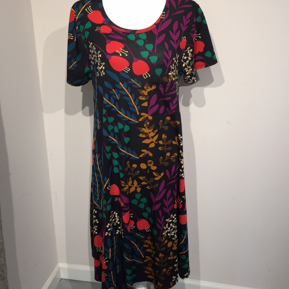 NWT Lularoe Carly